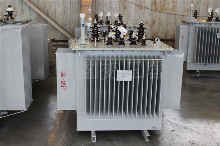 迪庆S20-800kVA/10kV/0.4kV变压器